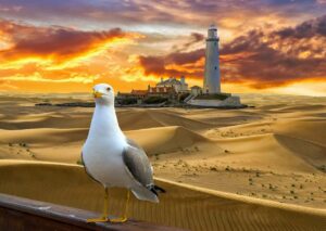 lighthouse-4536181_1280